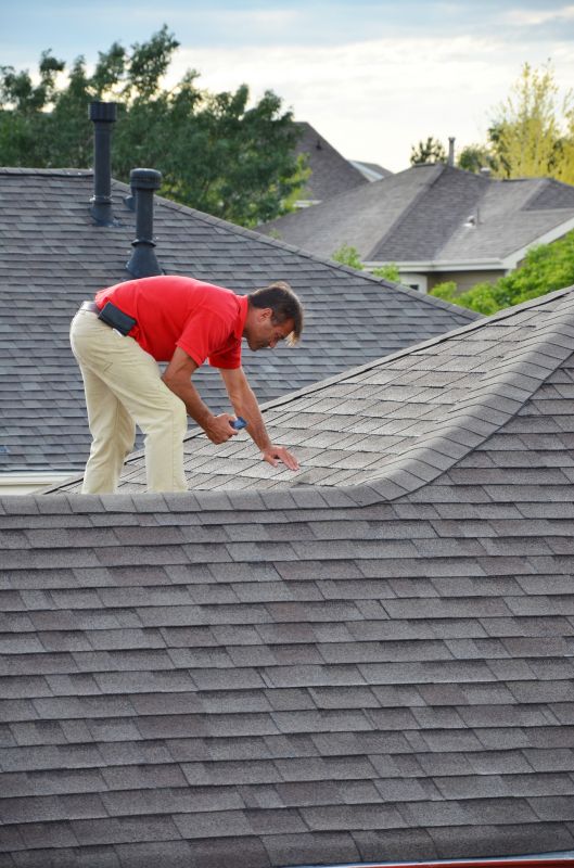 Experienced Roof Technicians